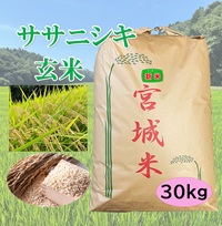 新米 特選ササニシキ 30㎏